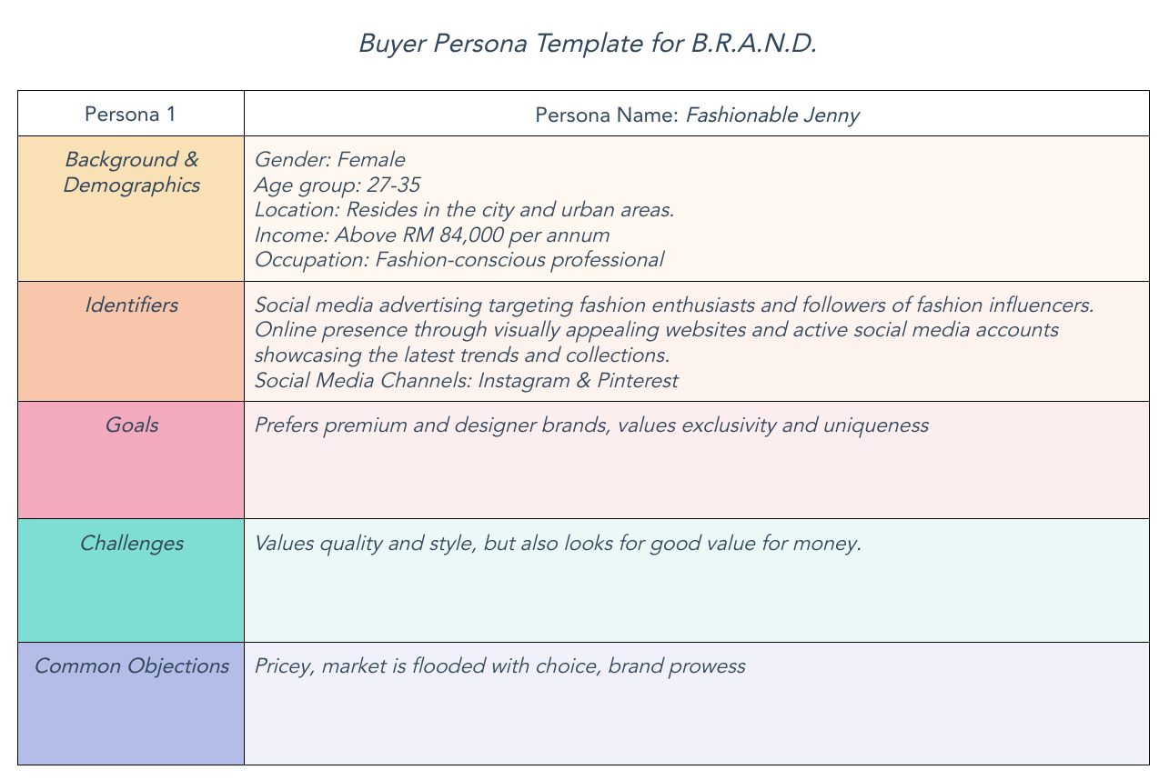 B.R.A.N.D. Buyer Persona 1.png